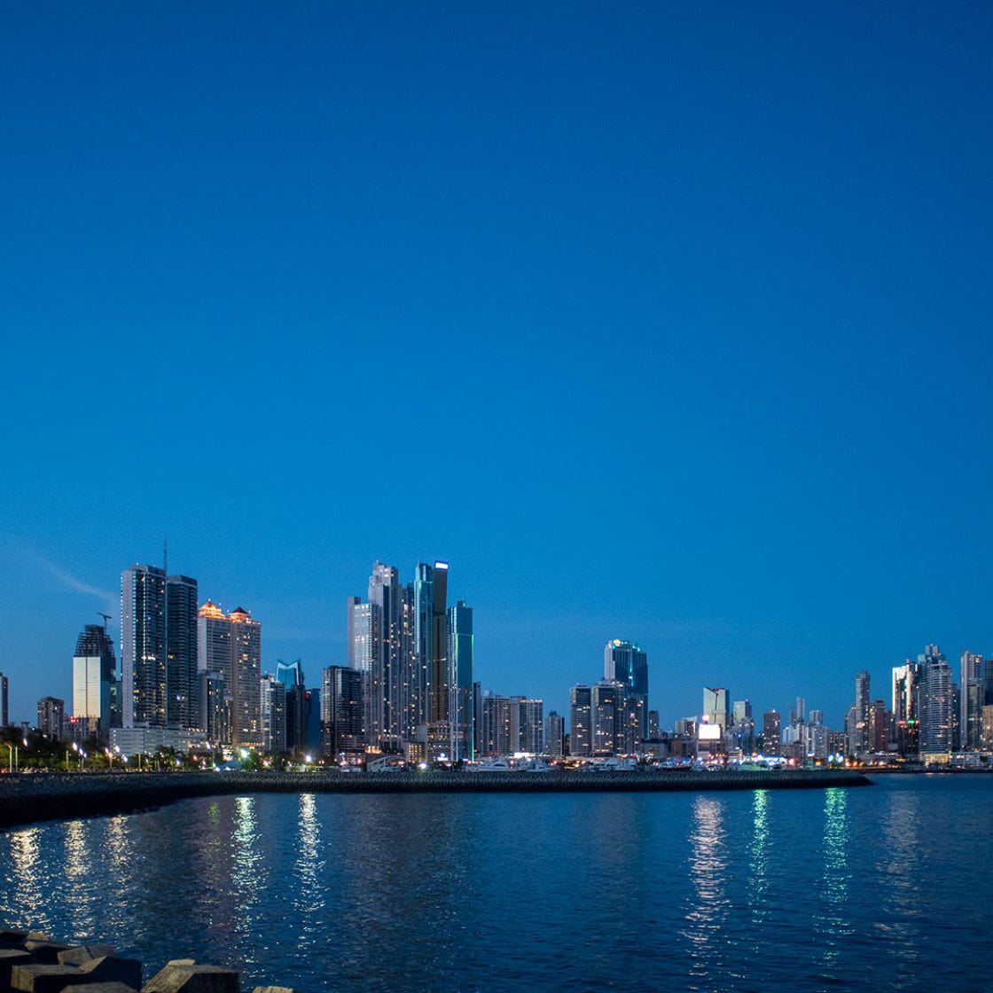 Fotos de stock gratuitas de animal, árbol, fauna